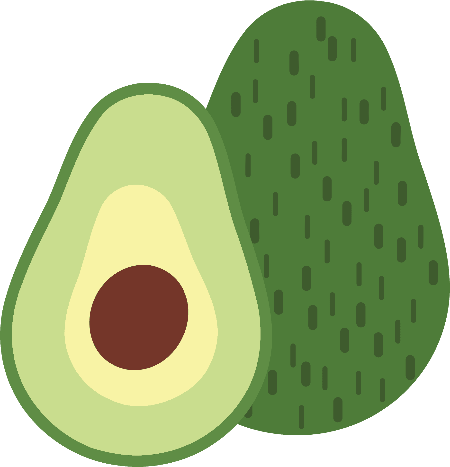 Avocado Halfand Whole Vector Illustration PNG