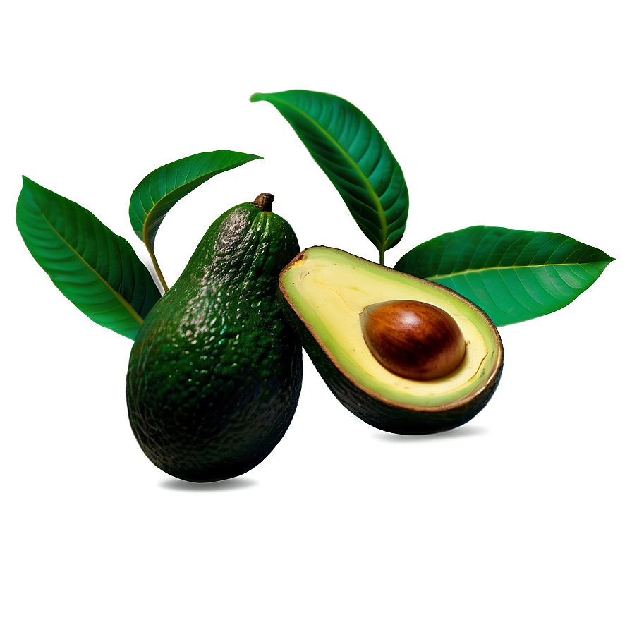 Download Avocado Tree Png Ihk56 | Wallpapers.com