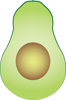 Avocado Vector Illustration PNG