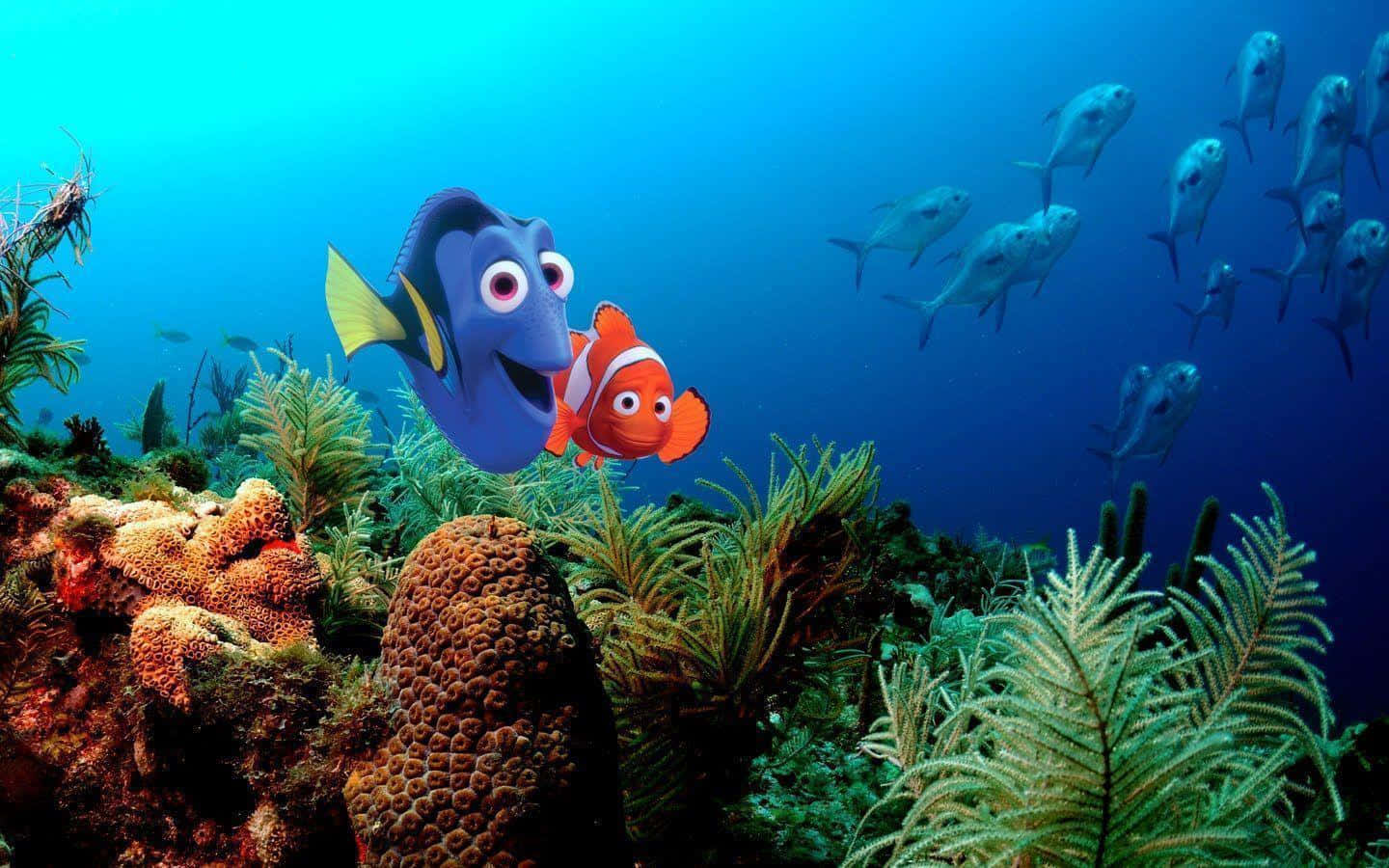 Avventurasottomarina Con Nemo E Gli Amici