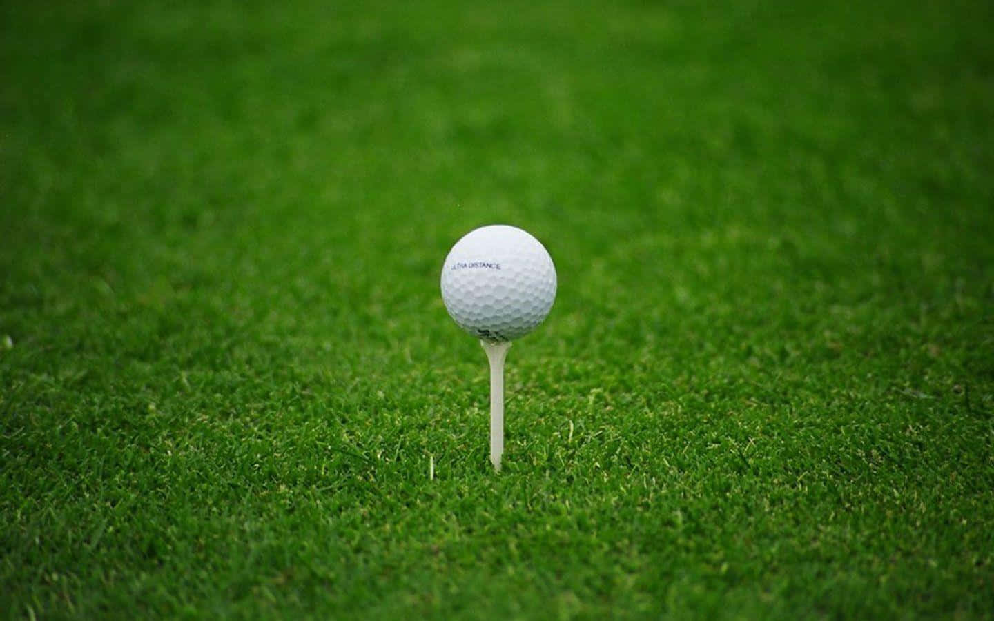 Disfrutade Una Increíble Experiencia De Golf Al Jugar En El Green Fondo de pantalla