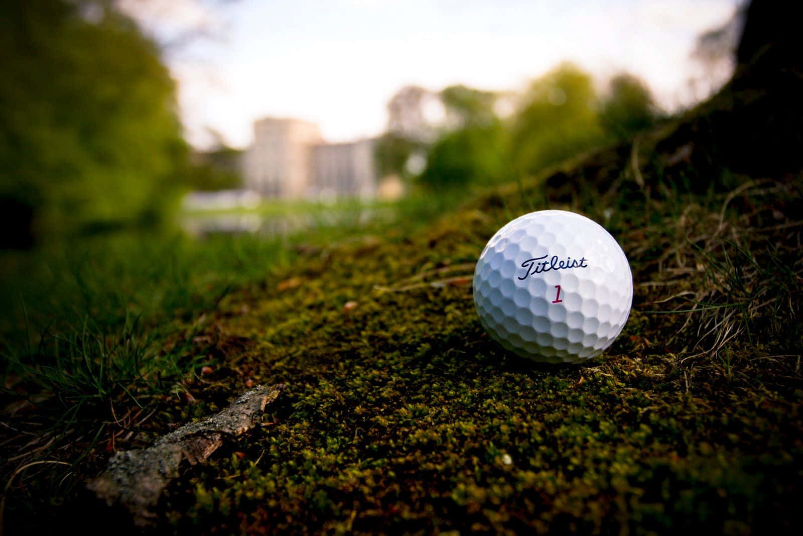 Disfrutadel Elegante Juego De Golf En Un Increíble Campo De Golf Fondo de pantalla