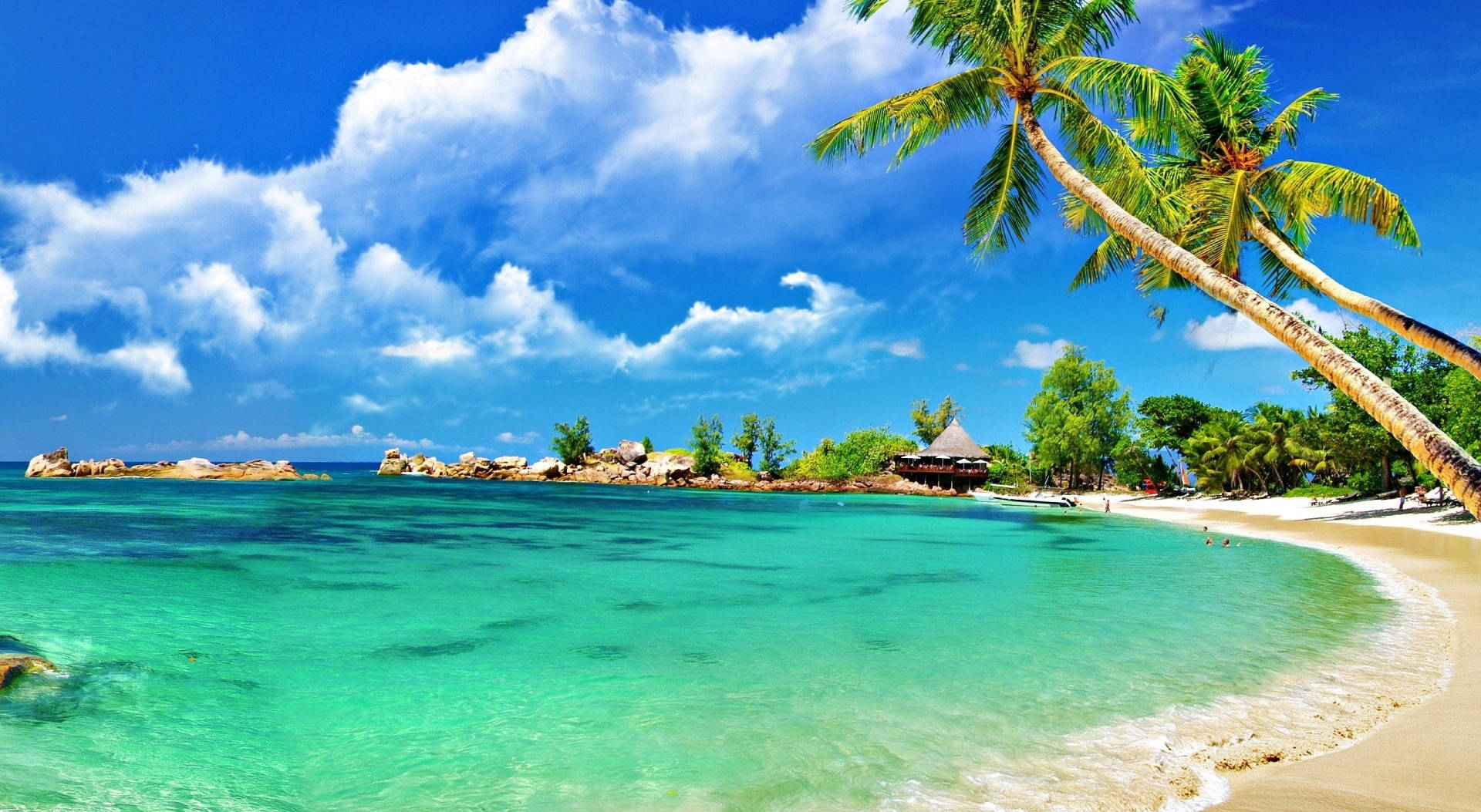 Awesome Hd Tropical Beach Picture
