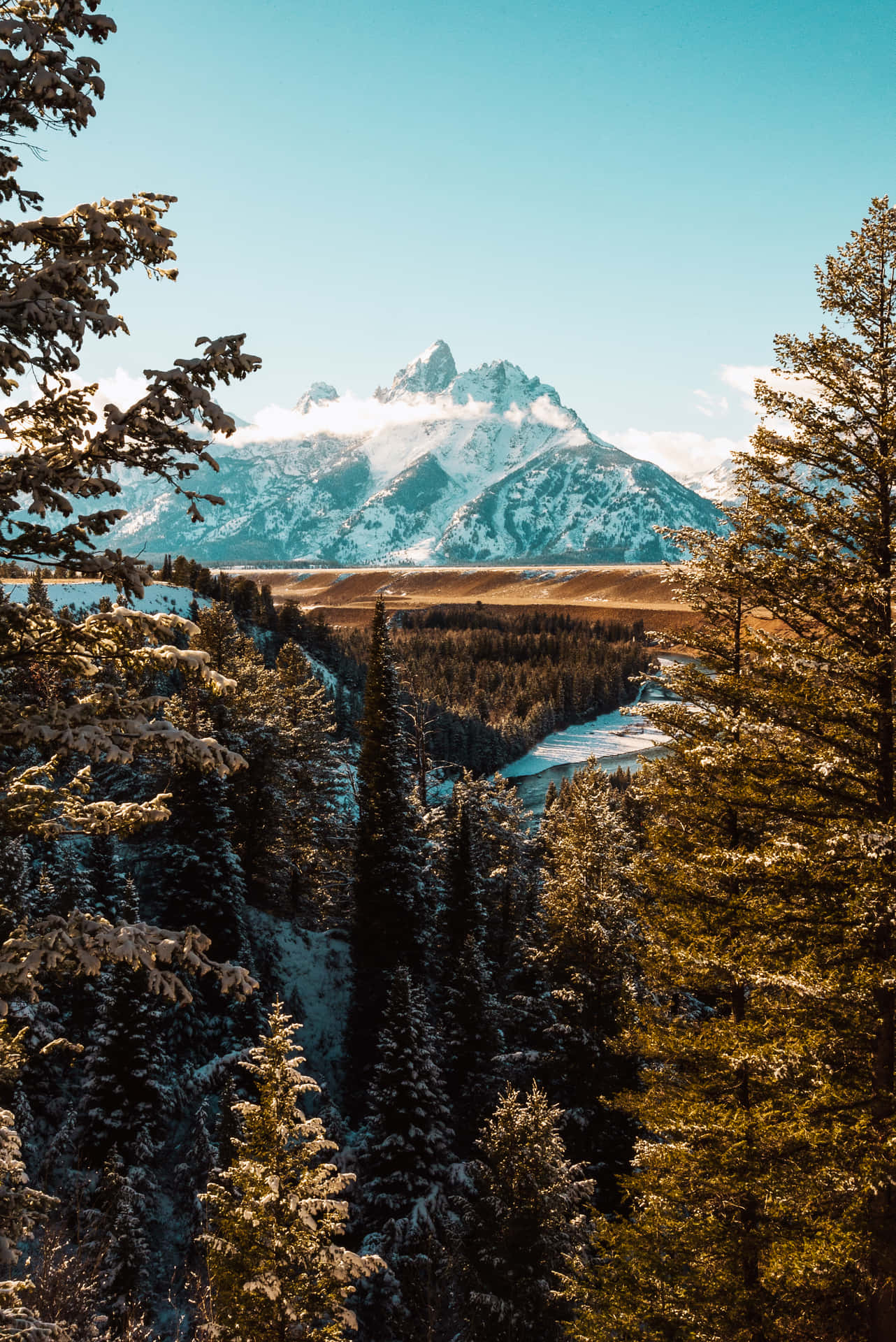 Fantastisk Grand Teton National Park billede