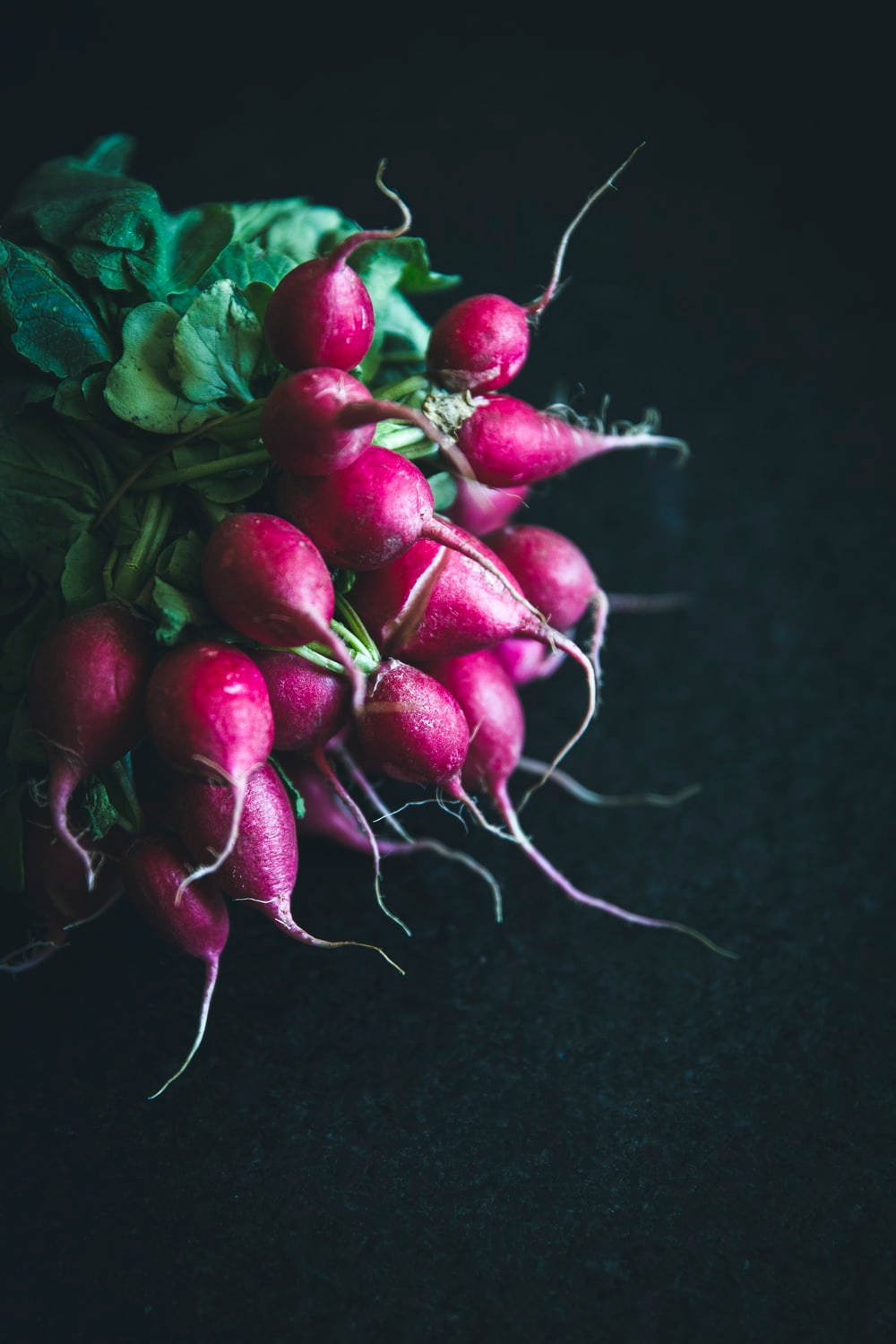 Awesome Root Vegetable Radish Wallpaper