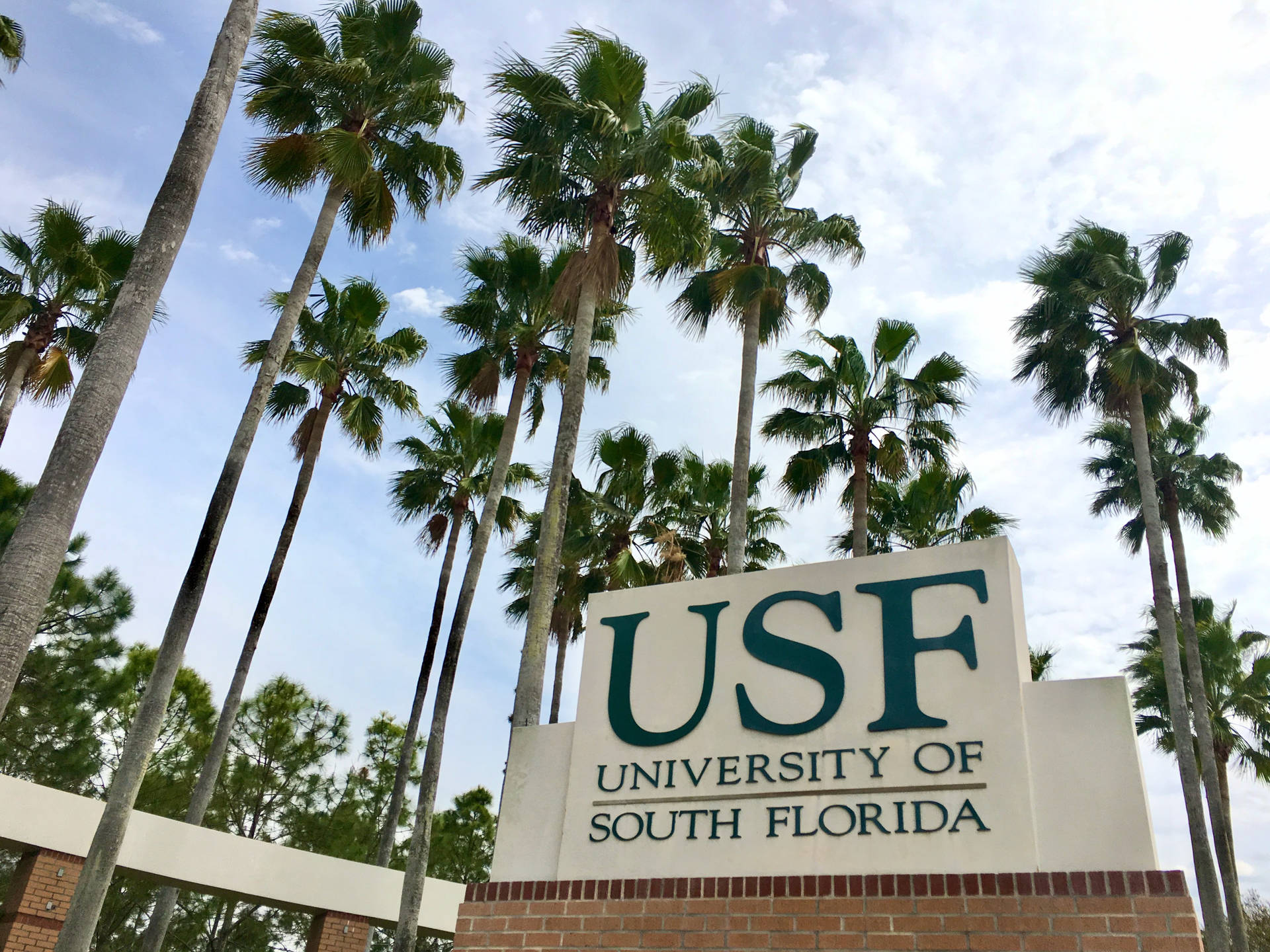 Fantastisk University of South Florida Signet - Design din computer baggrund. Wallpaper