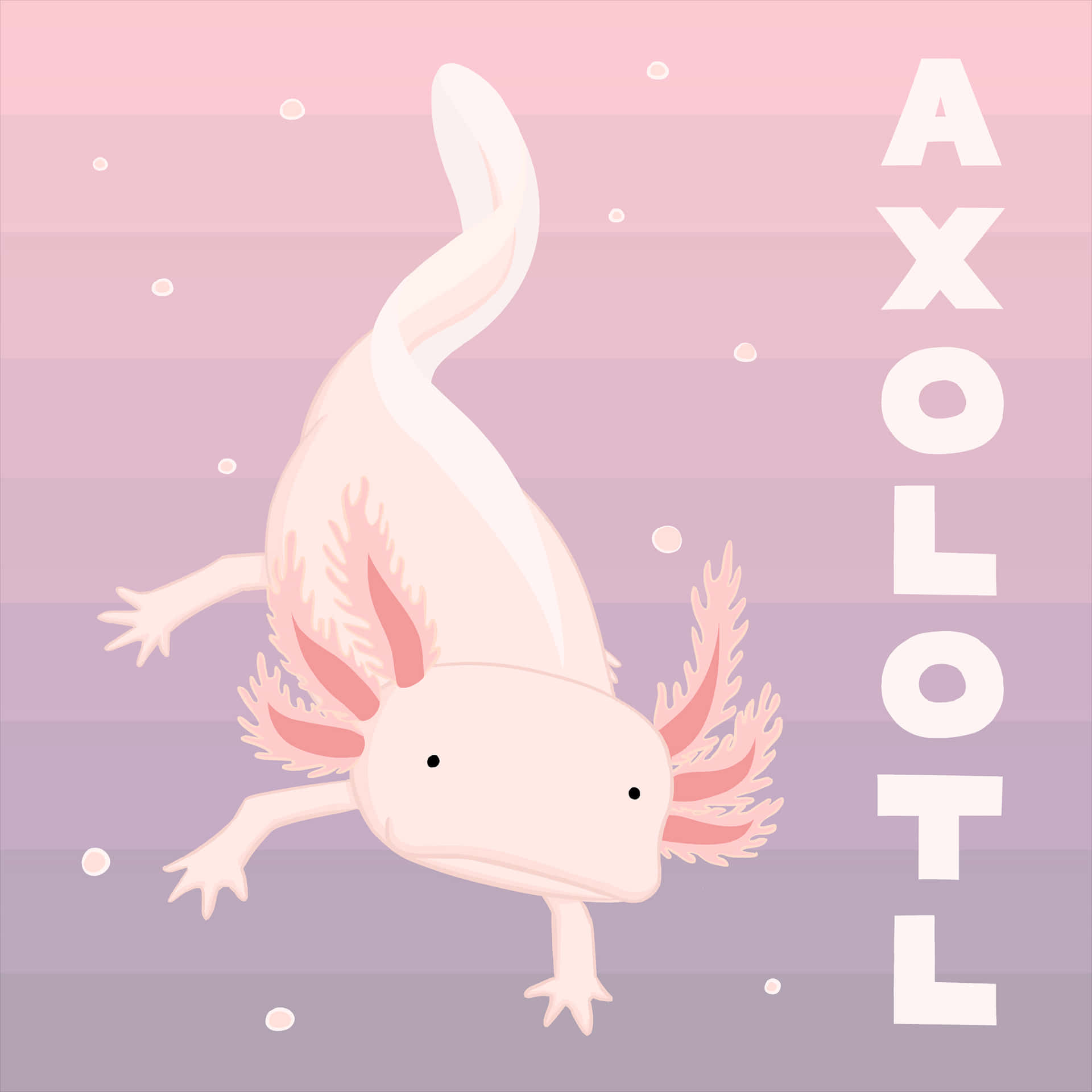 An adorable axolotl looking up to the camera