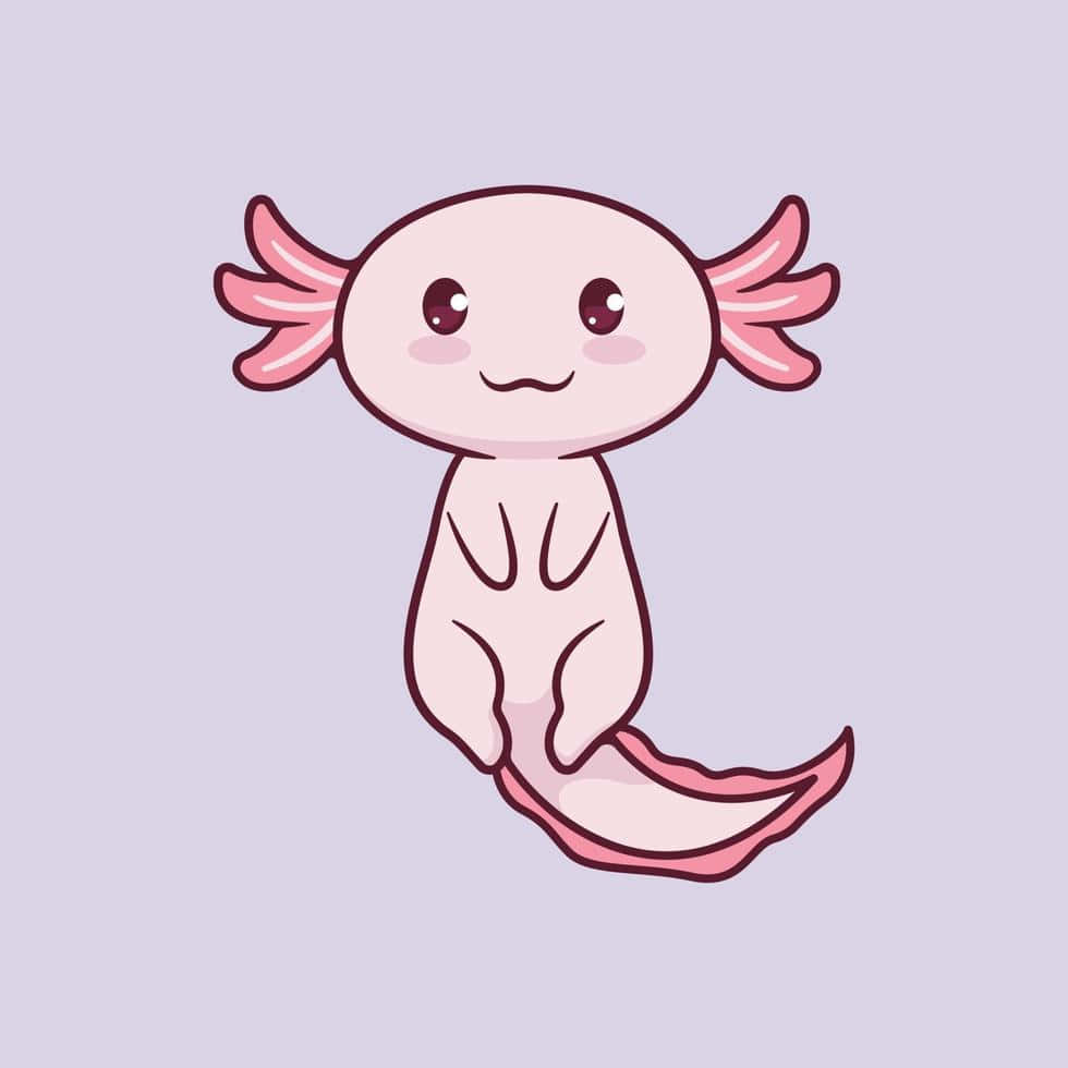 Axolotl,eine Seltene Und Mysteriöse Amphibie.
