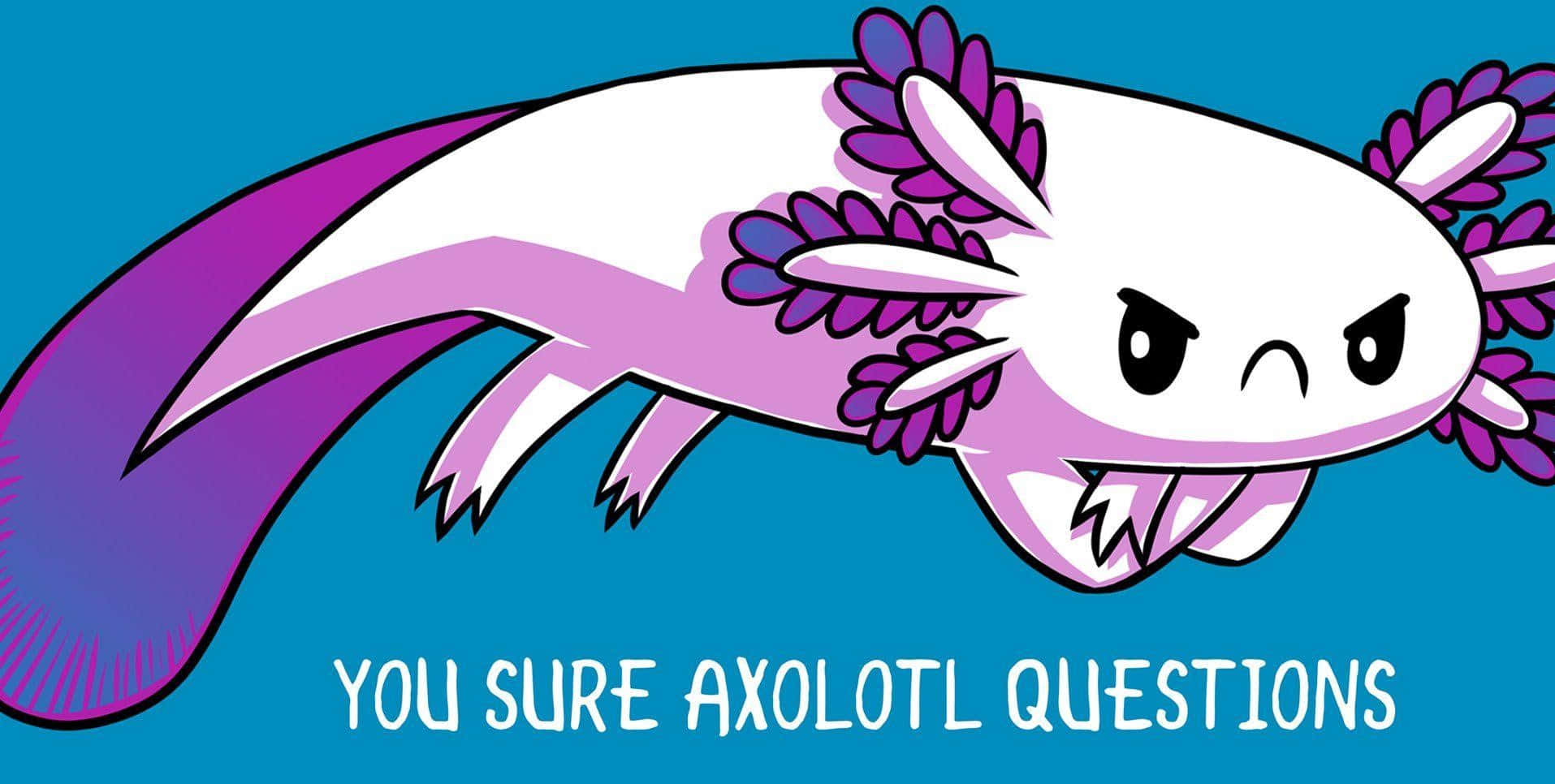 Disfrutandode Las Maravillas De La Naturaleza: Un Adorable Axolotl En Su Estanque.