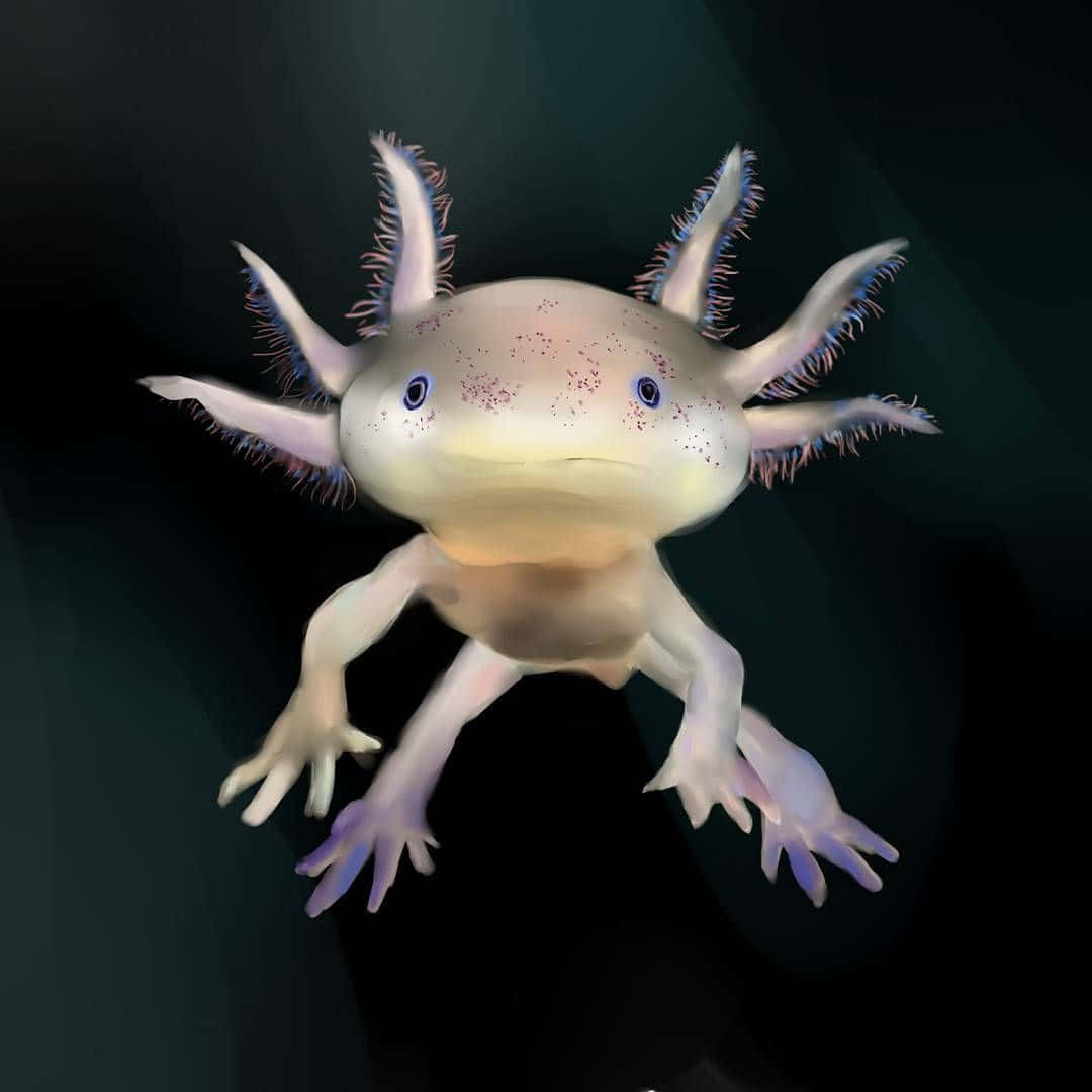 Axolotlenscharme