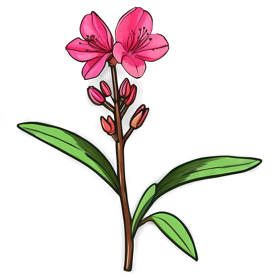 Azalea Flower Sketch Png 05252024 PNG