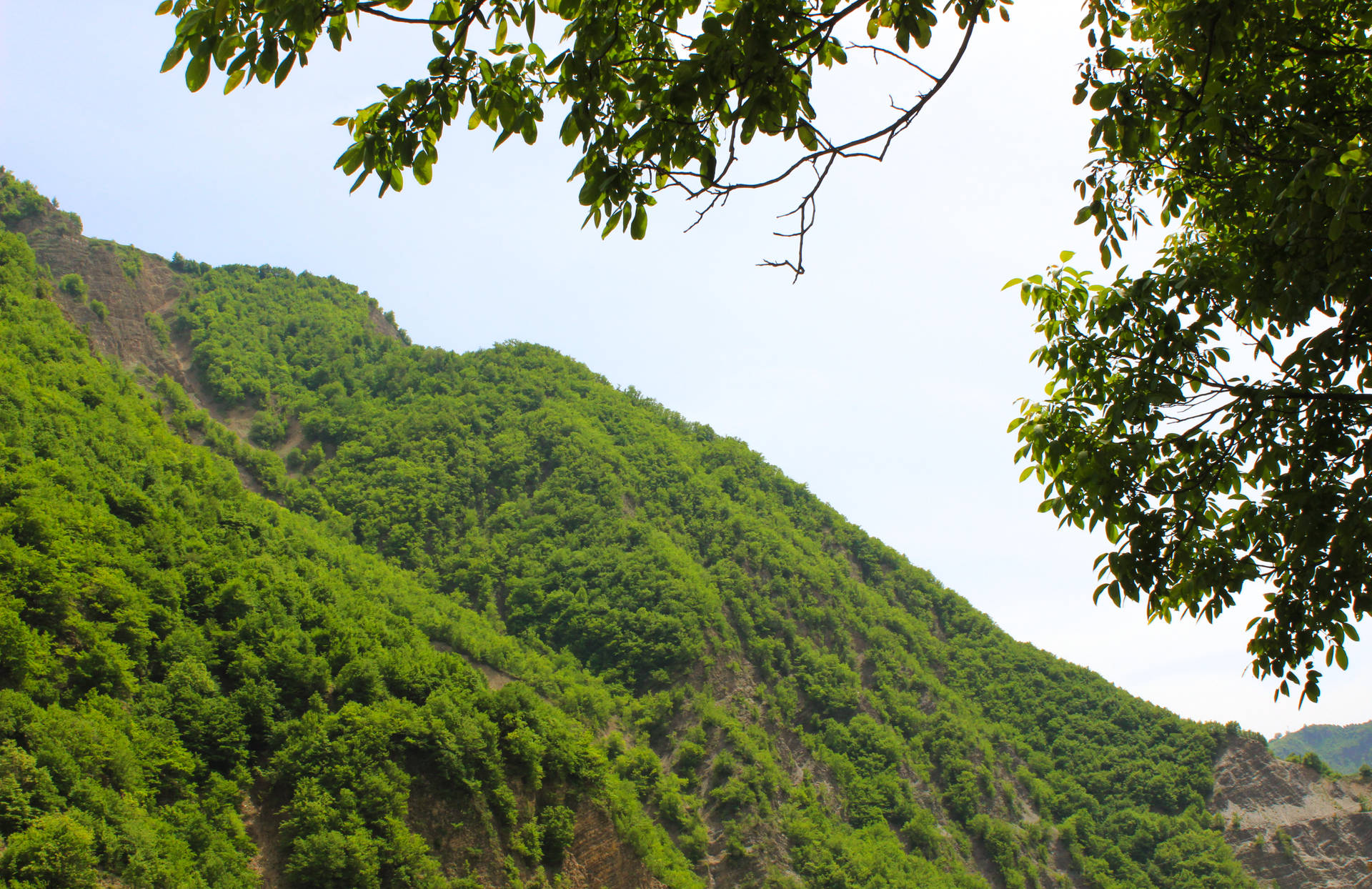 Azerbaijan Green Mountain