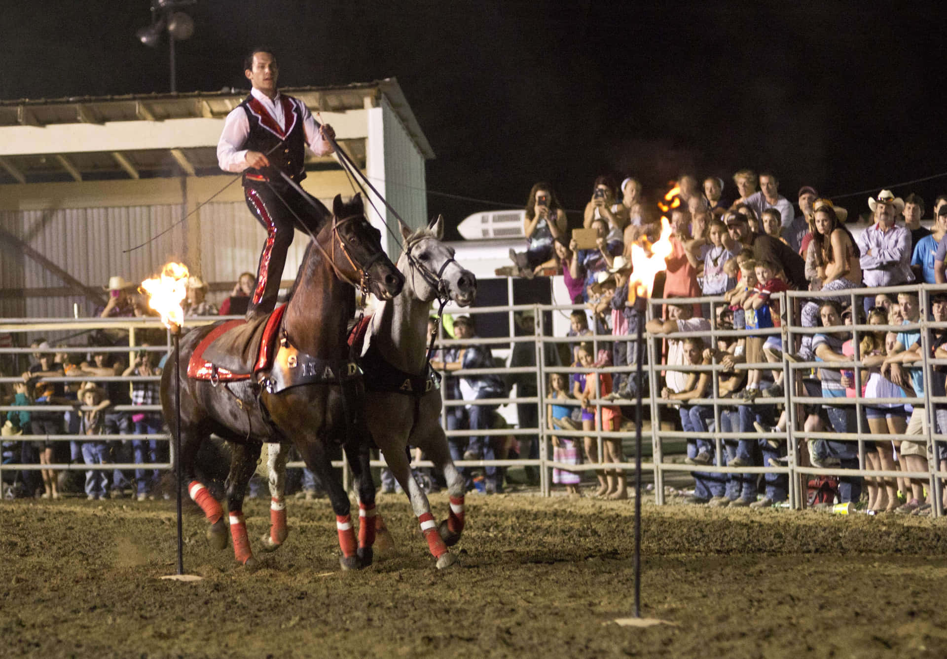 Azionedi Rodeo A Pieno Ritmo: Cowboy Su Un Cavallo Selvaggio