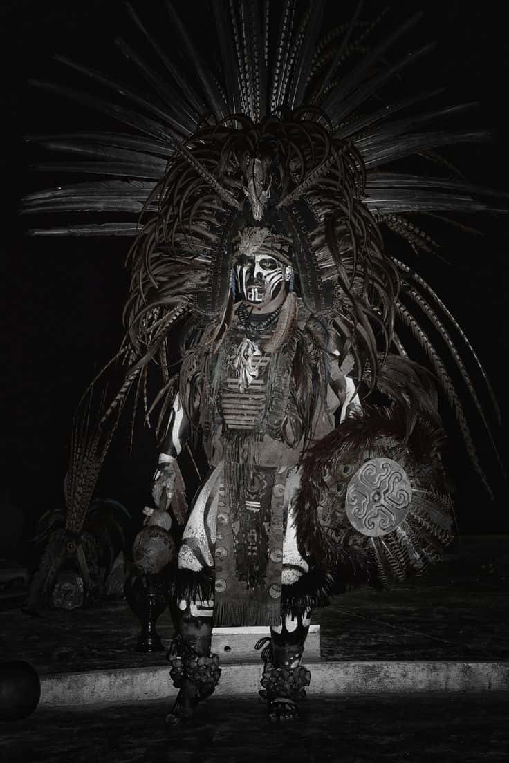 En mand iført en fjerskræddersyet kostume står i den mørke dans. Wallpaper