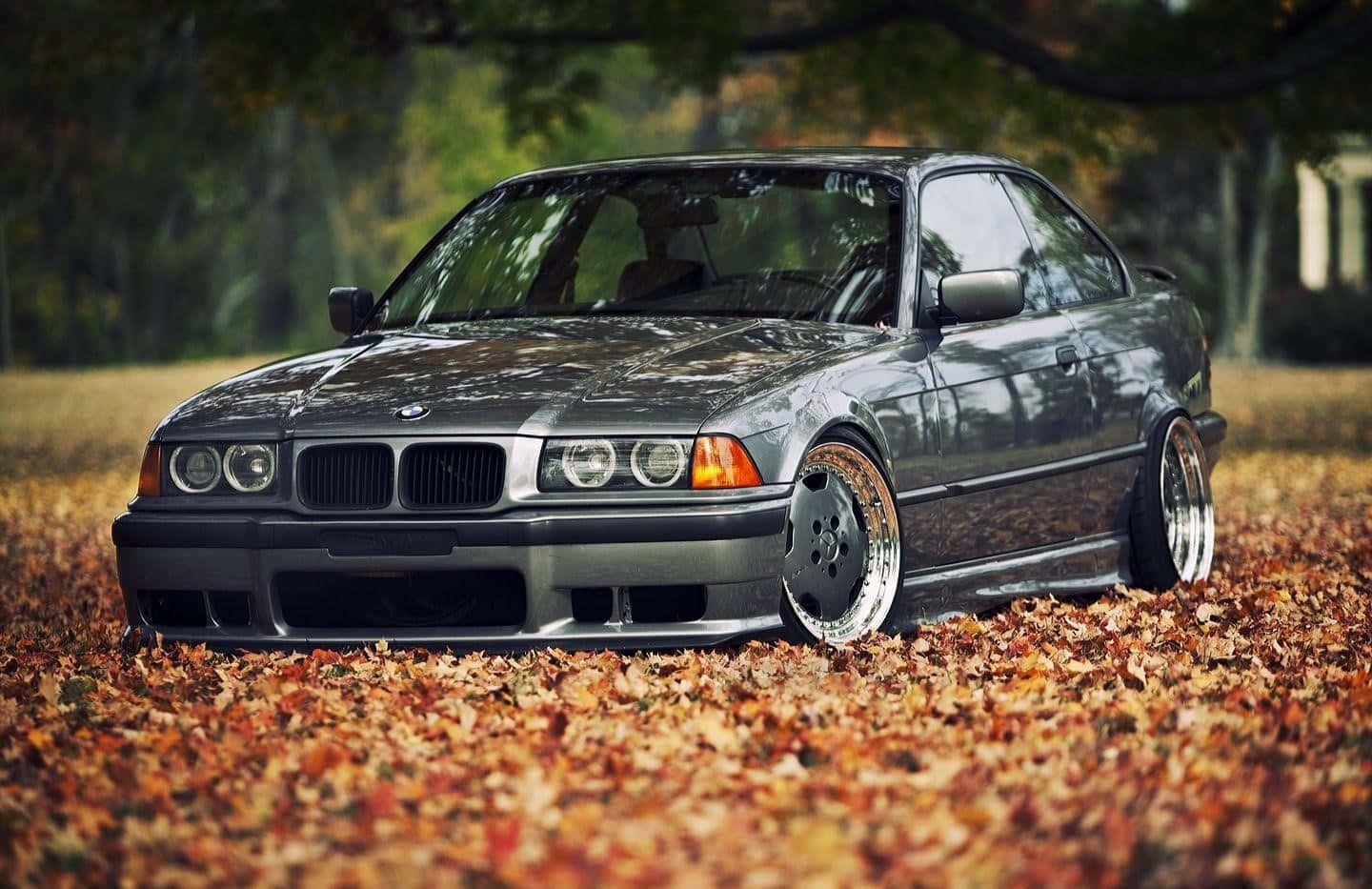 Bmw E36 Arrière-plan De Feuilles D'automne Fond d'écran