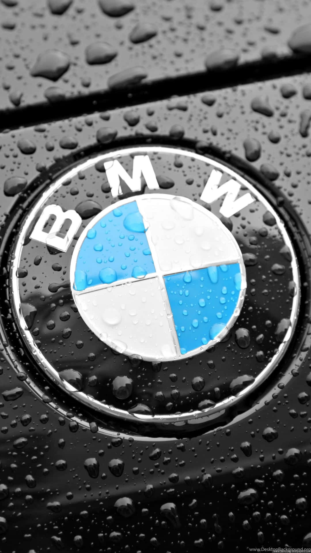 B M W Logo Rain Drops Closeup Wallpaper