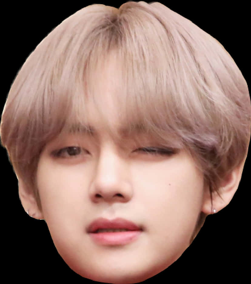 B T S Member Closeup Face PNG