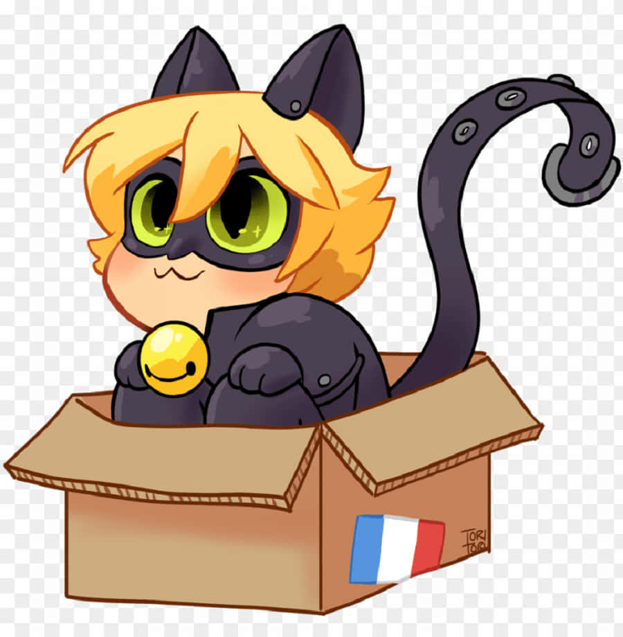 Süßesbaby Adrien Agreste Als Cat Noir Wallpaper