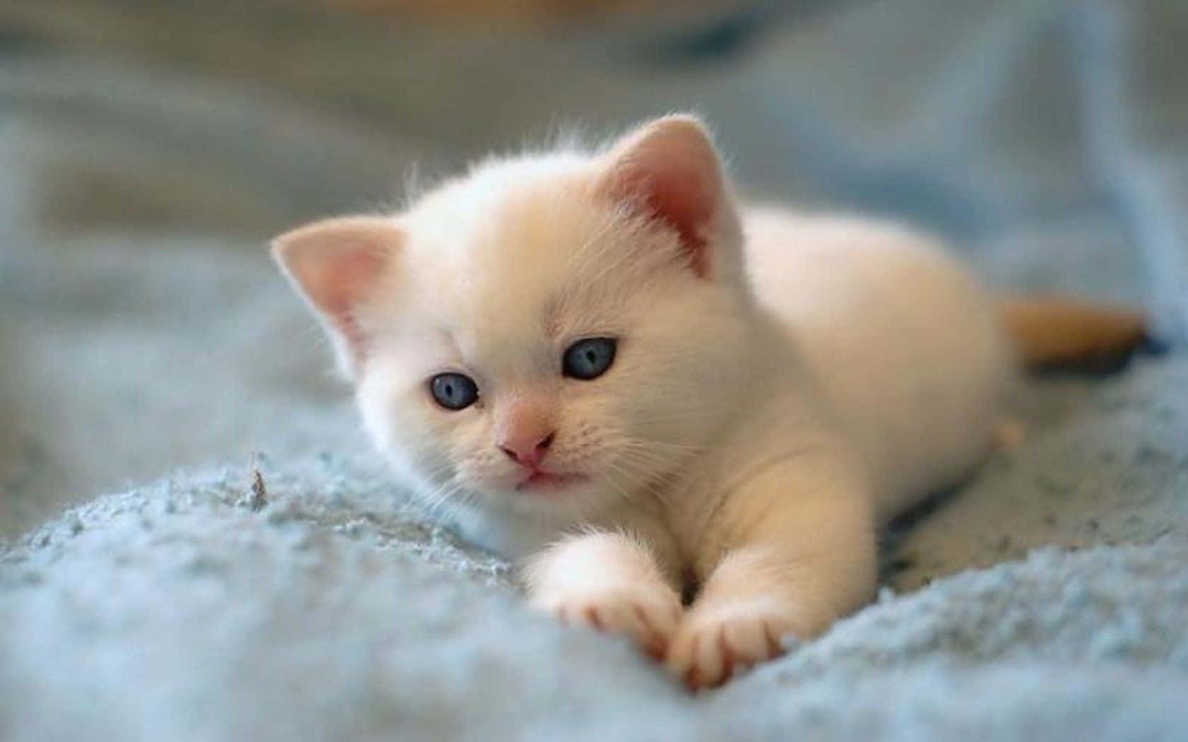 Awwwww! What a cute little baby animal!