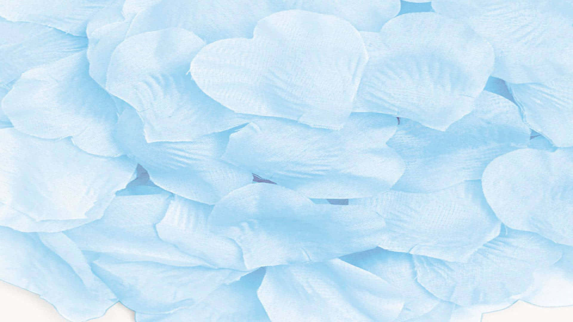 A Pile Of Blue Rose Petals On A White Surface