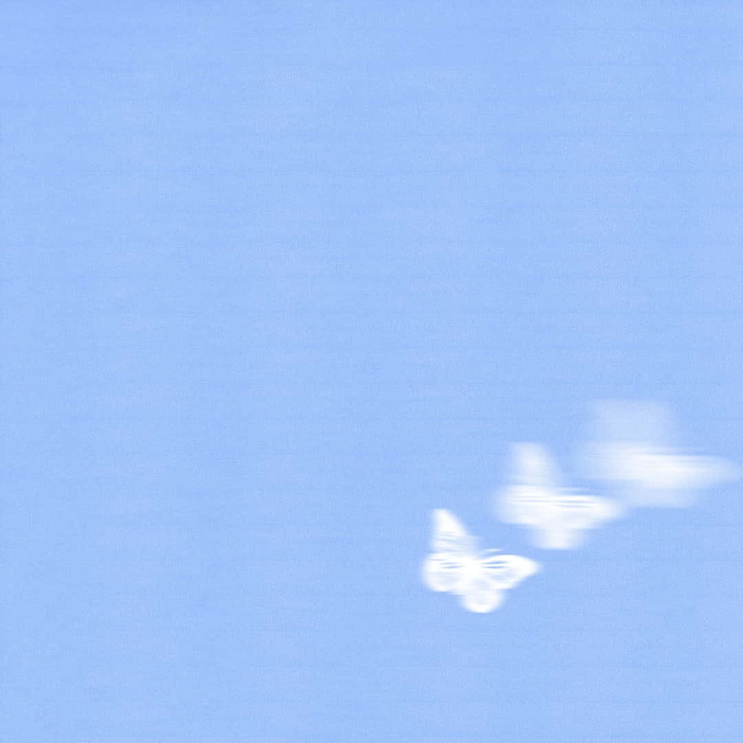 Estéticade Mariposa Desvaneciéndose En Color Azul Bebé Clarito. Fondo de pantalla