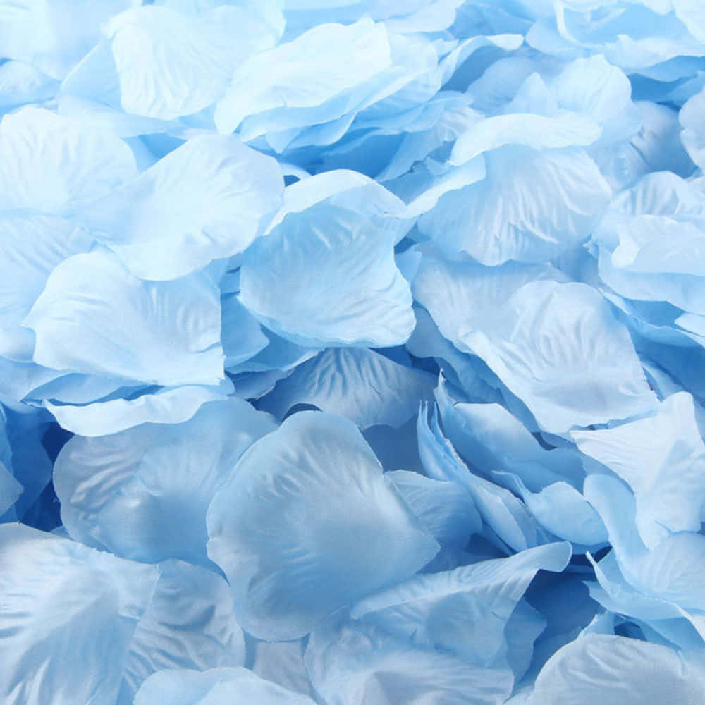Baby Blue Light Blue Aesthetic Silk Rose Petals Wallpaper
