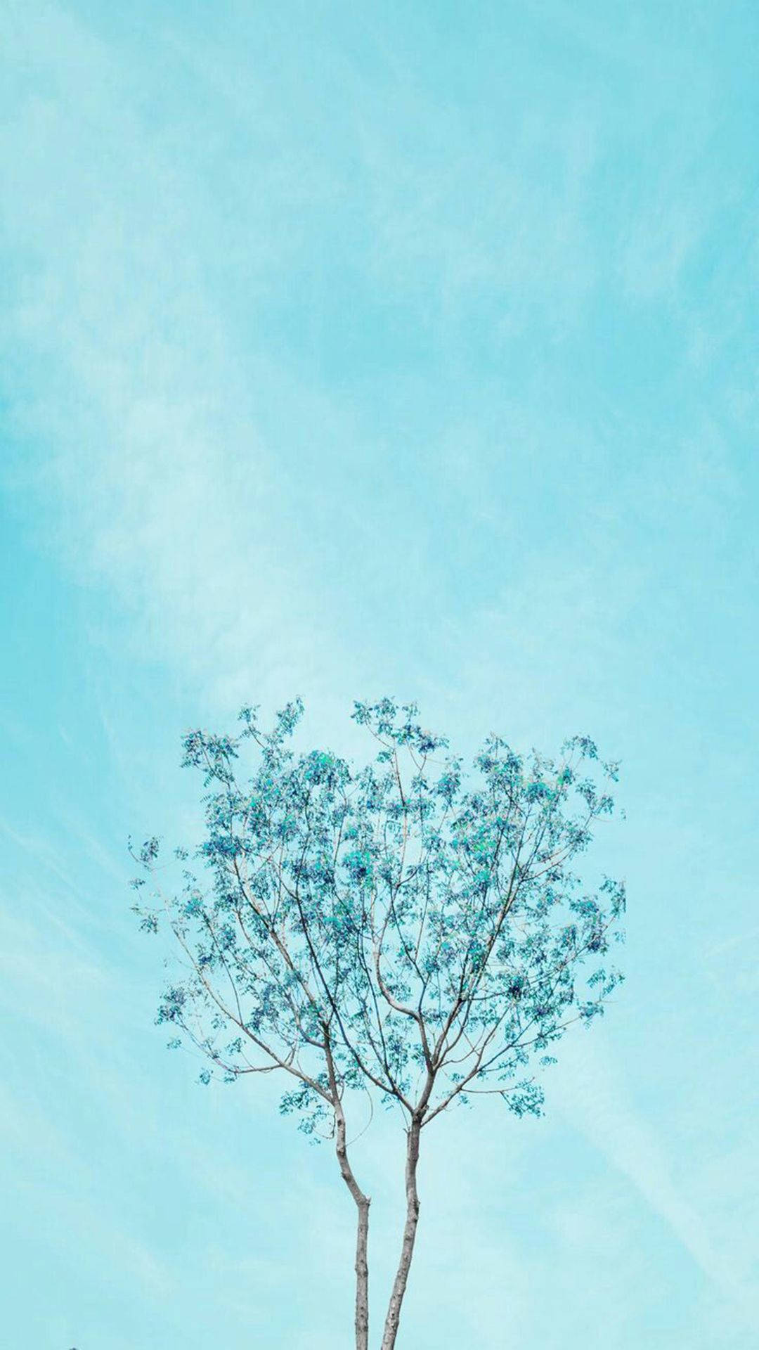 Baby Blue Mini Tree Wallpaper
