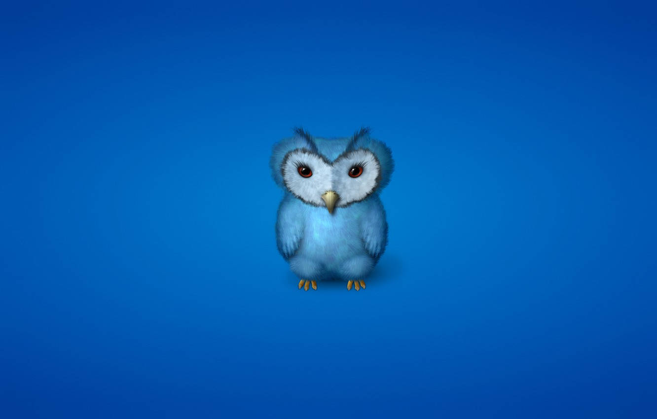 Baby Blue Owl Wallpaper