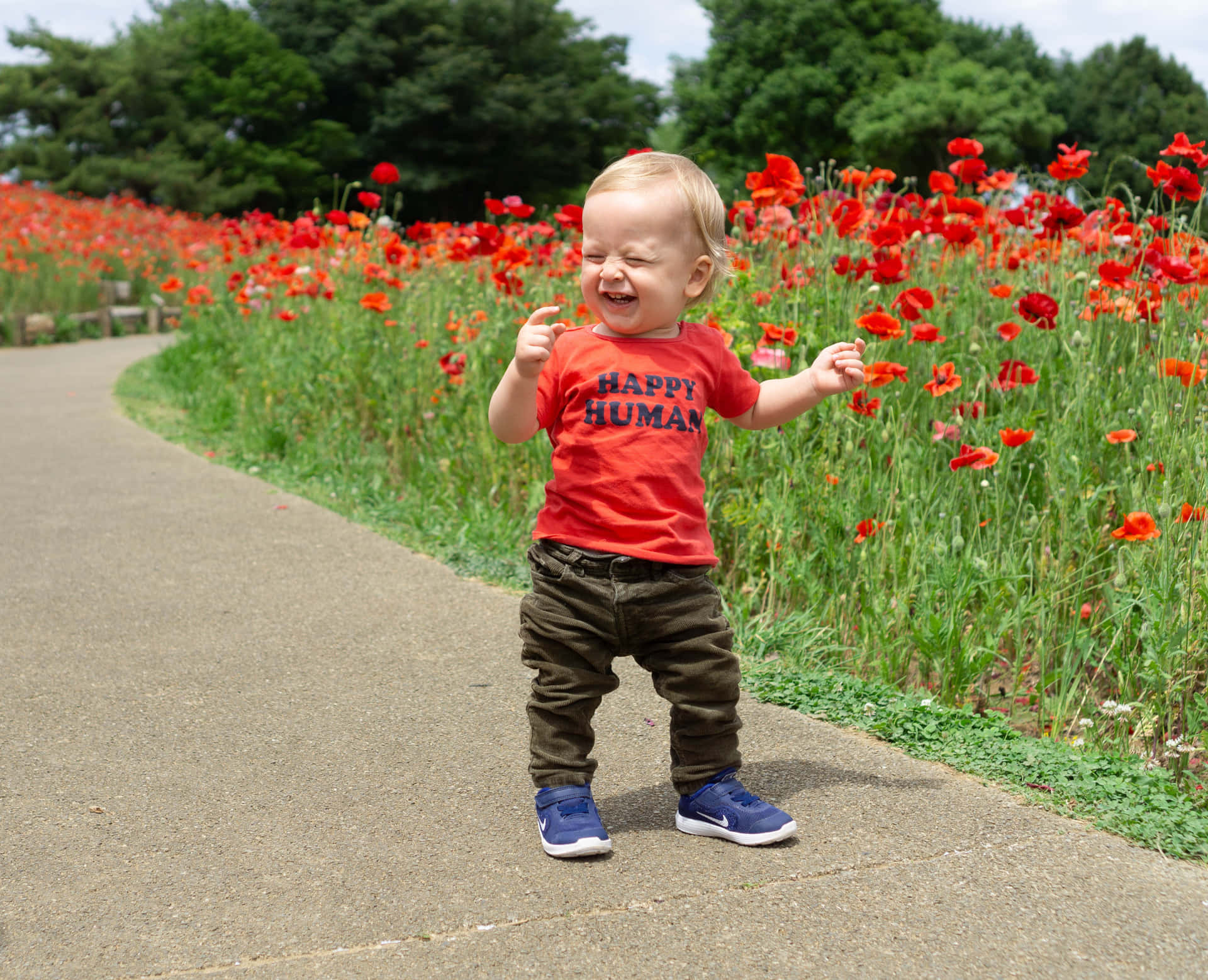 A Child Is Standing In A Field Of Flowers