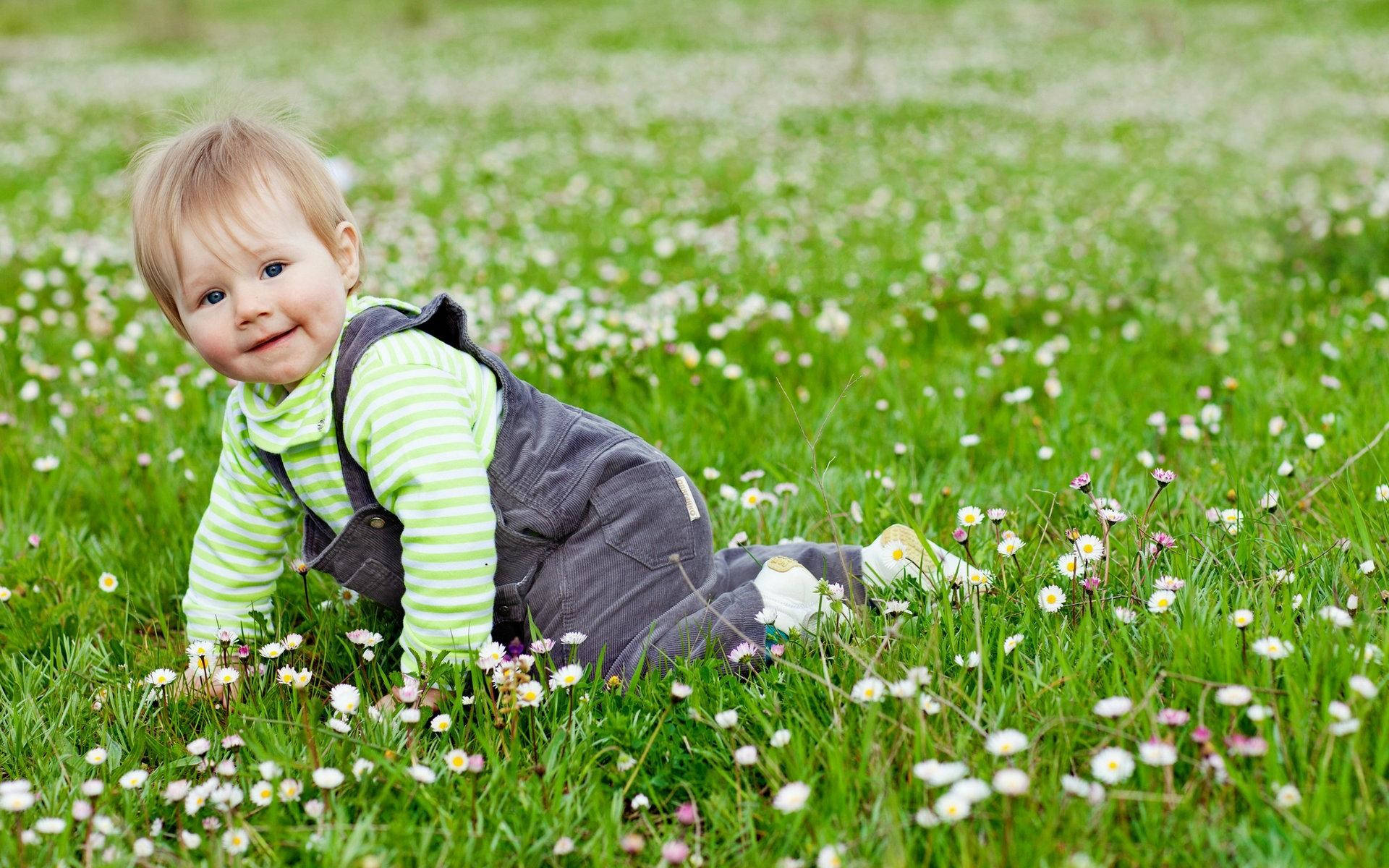 Niñobebé Gateando En Un Campo De Flores Fondo de pantalla