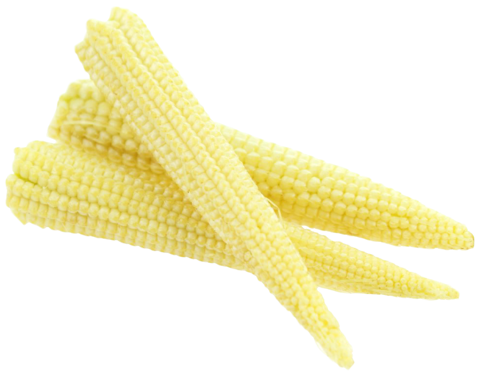 Baby Corn Cluster Fresh Produce PNG