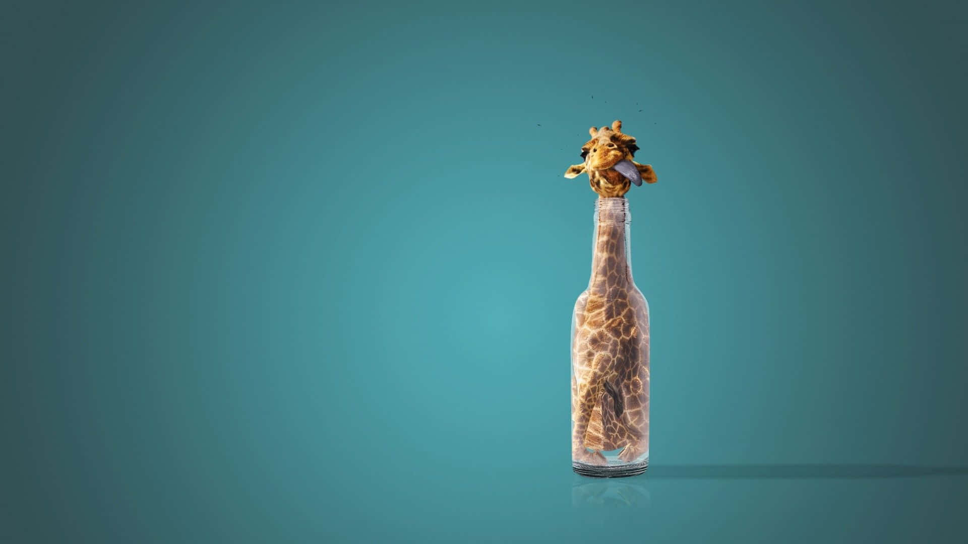Entzückendebaby-giraffe Mit Flecken