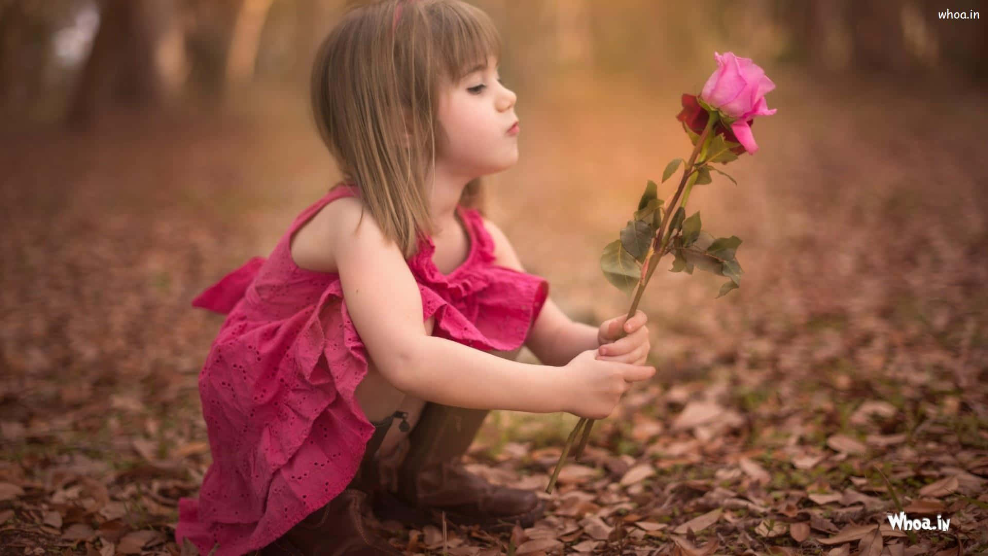 A Little Girl Is Holding A Pink Rose In The Woods Wallpaper