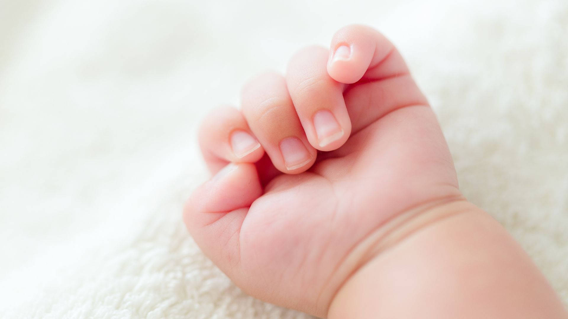 Baby Hand Closed Into A Ball Wallpaper
