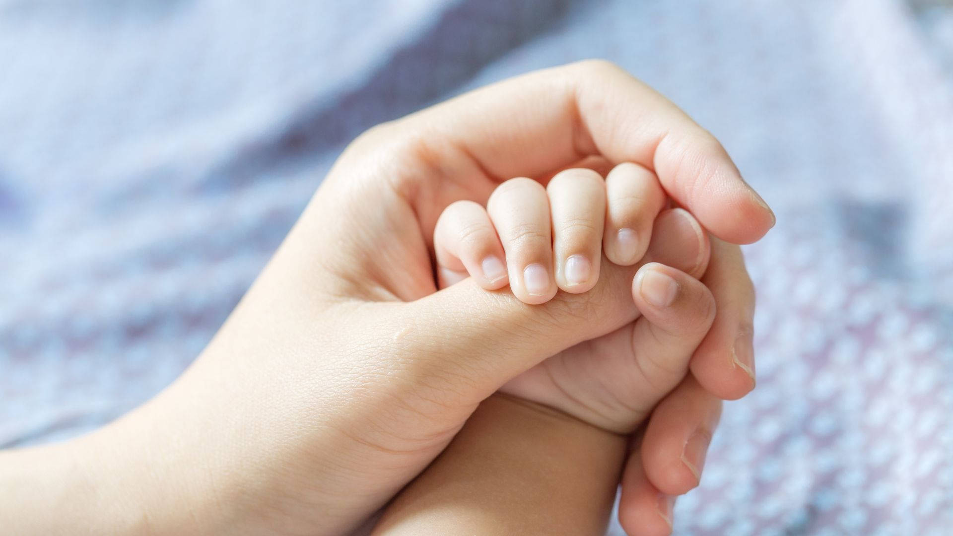 Baby Hand Clutching Mother's Thumb Wallpaper