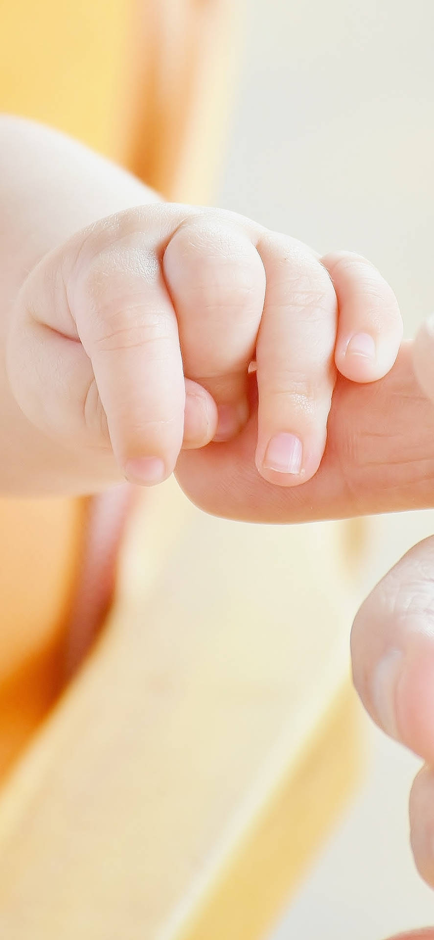 A Gentle Touch of Love - Baby Hand Holding an Adult Finger Wallpaper