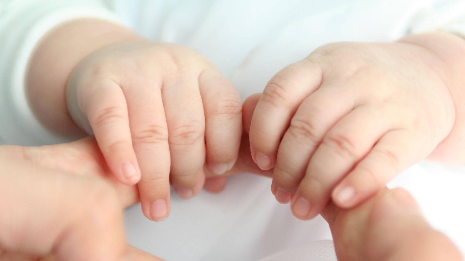 Baby Hand Grasping Two Fingers Wallpaper