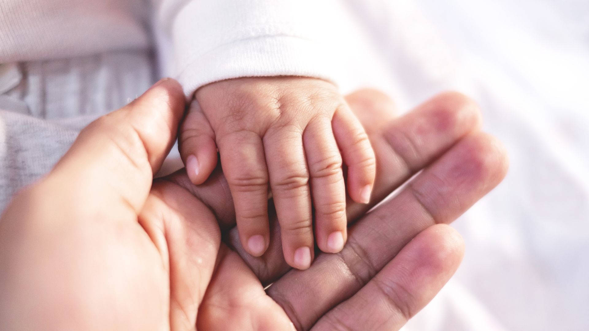 Baby Hand In A Caring Hand Wallpaper