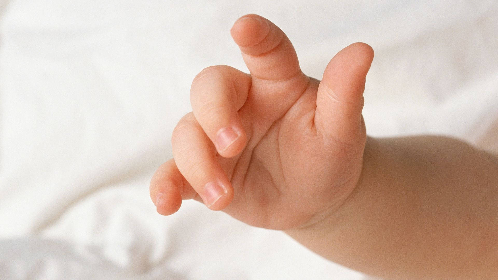 Manode Bebé Con Dedos Cortos Y Adorables Fondo de pantalla