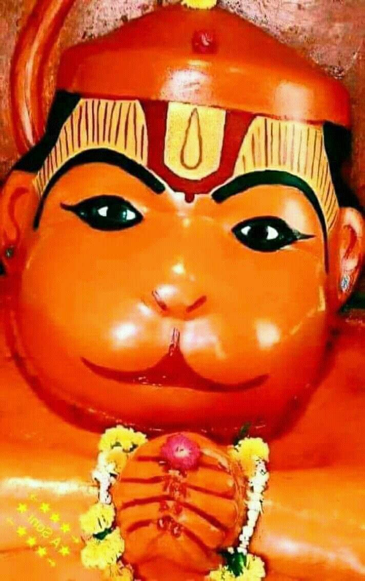 Closeup Do Bebê Hanuman. Papel de Parede