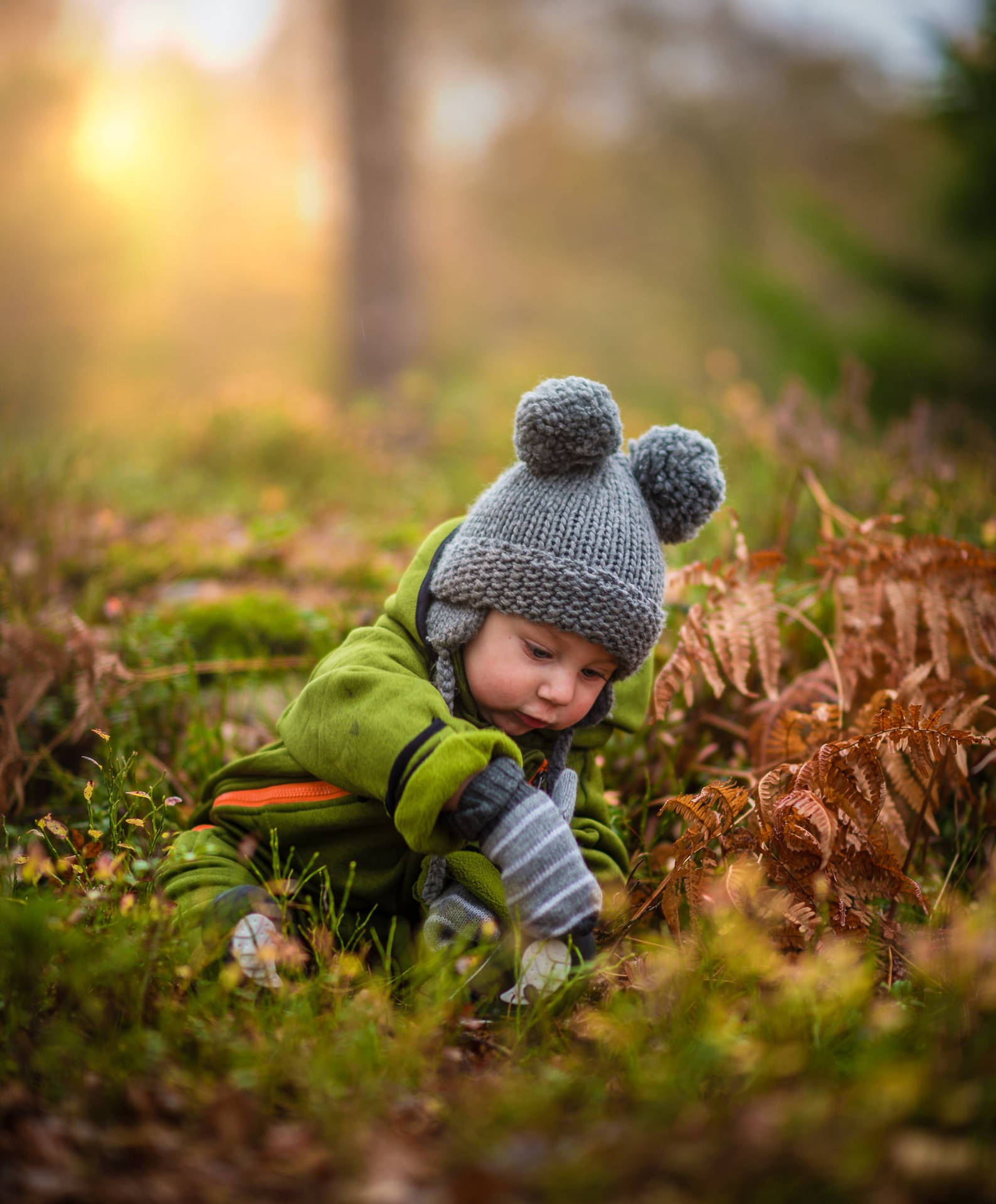 Baby In The Woods Hd Wallpaper