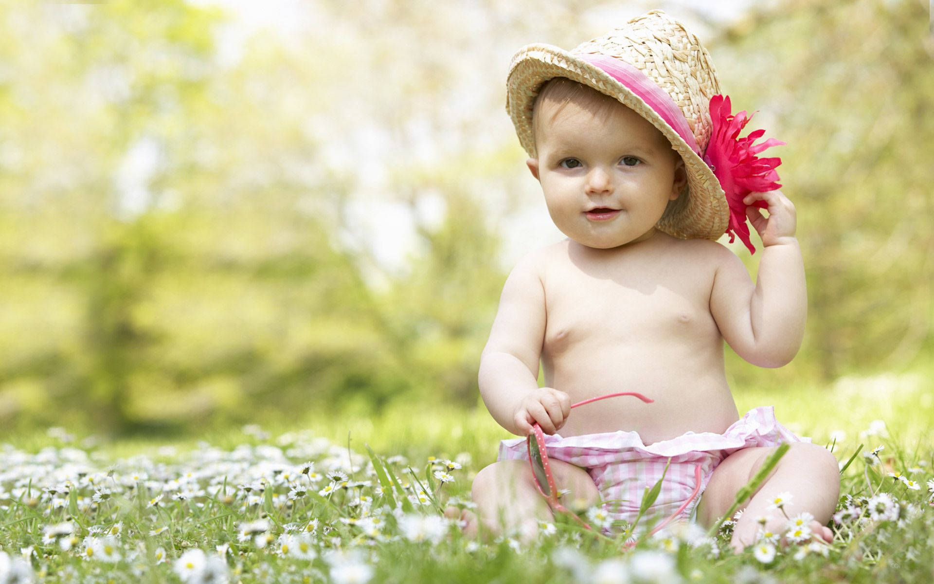 A beautiful baby boy enjoying the summertime in a white daisy-filled field. Wallpaper