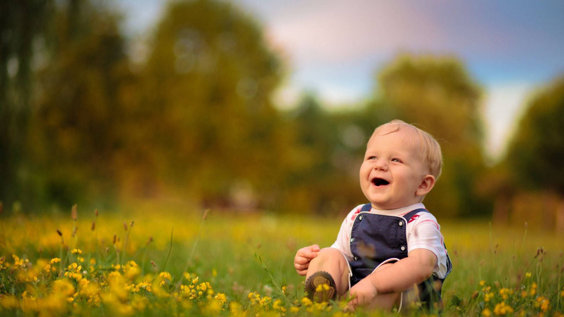 Joyful Baby Exploring A Field Of Color Wallpaper