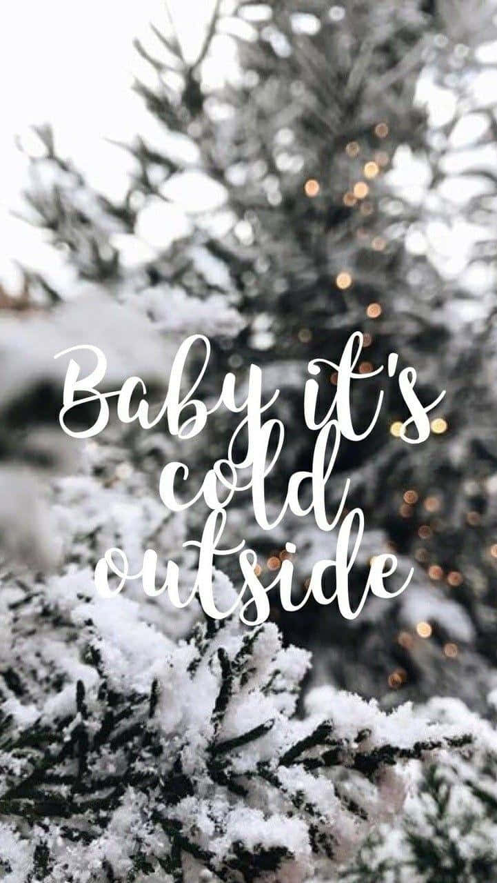 Baby Its Cold Outside Snowy Pine Wallpaper