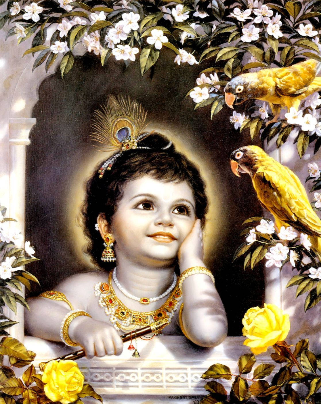 Download Baby Krishna With Birds Wallpaper 