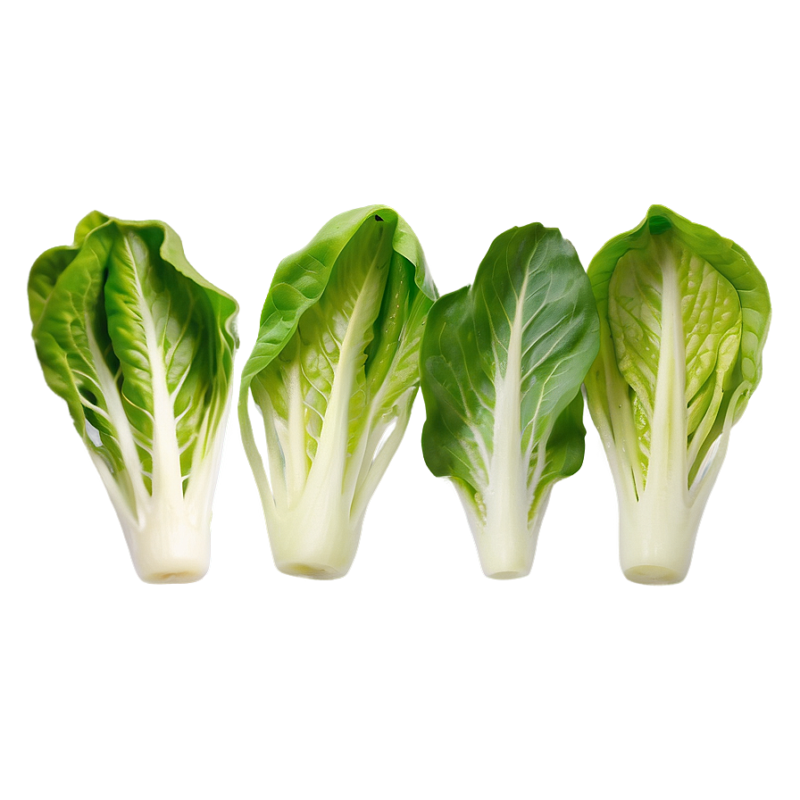 Download Baby Lettuce Leaves Png Rbv76 | Wallpapers.com