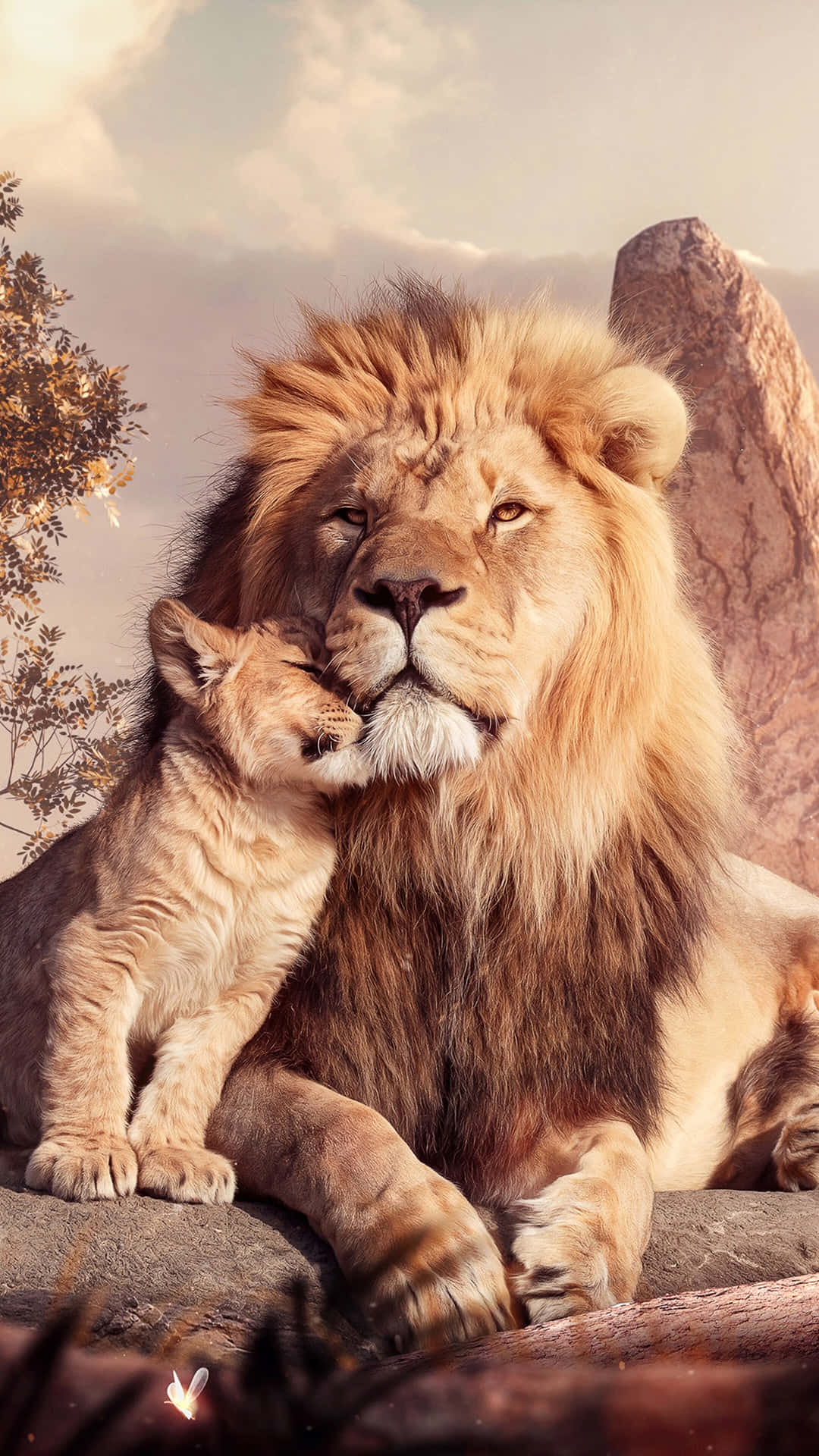 Baby Lion Background