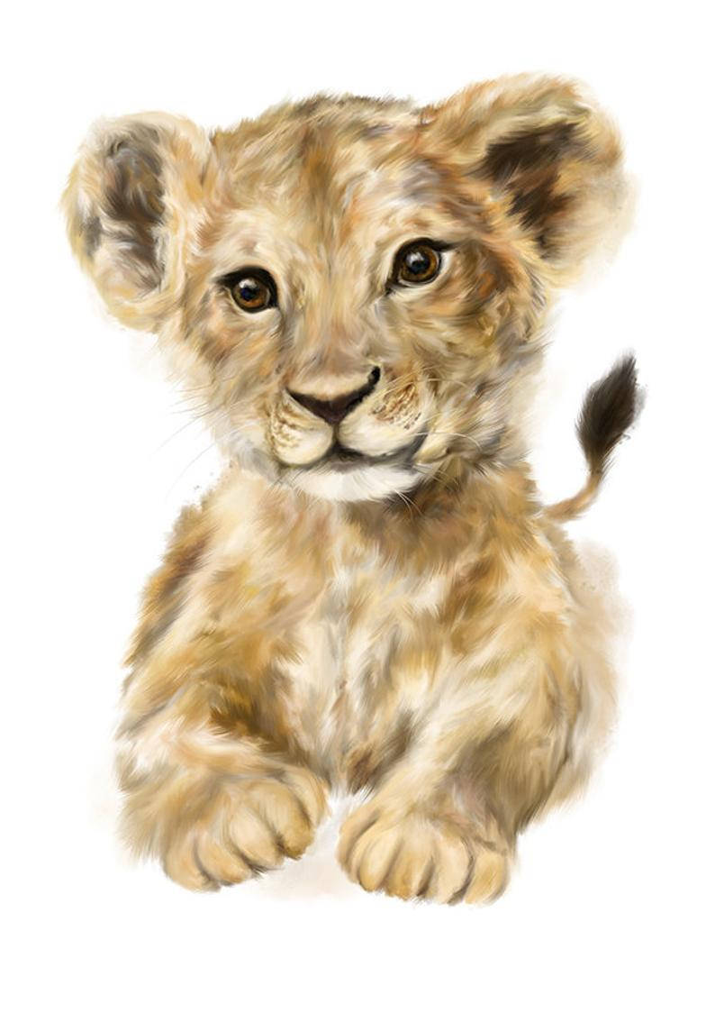Baby Lion Painting Wallpaper