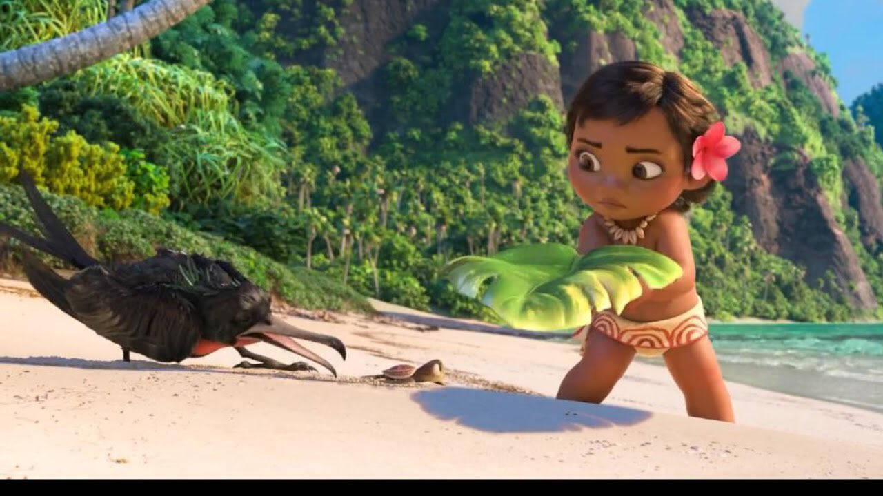 Baby Moana And Frigate Bird Picture