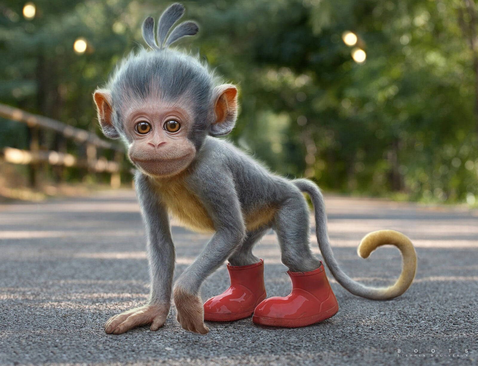 Botasde Macaco Bebê Papel de Parede